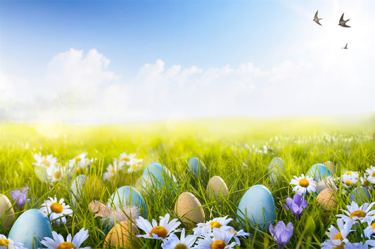 Easter Blue Sky White Clouds Swallow Eggs Green Grass Backdrop M1-57