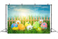 Easter Daisy Egg Fence Grassy Sky Backdrop M1-58