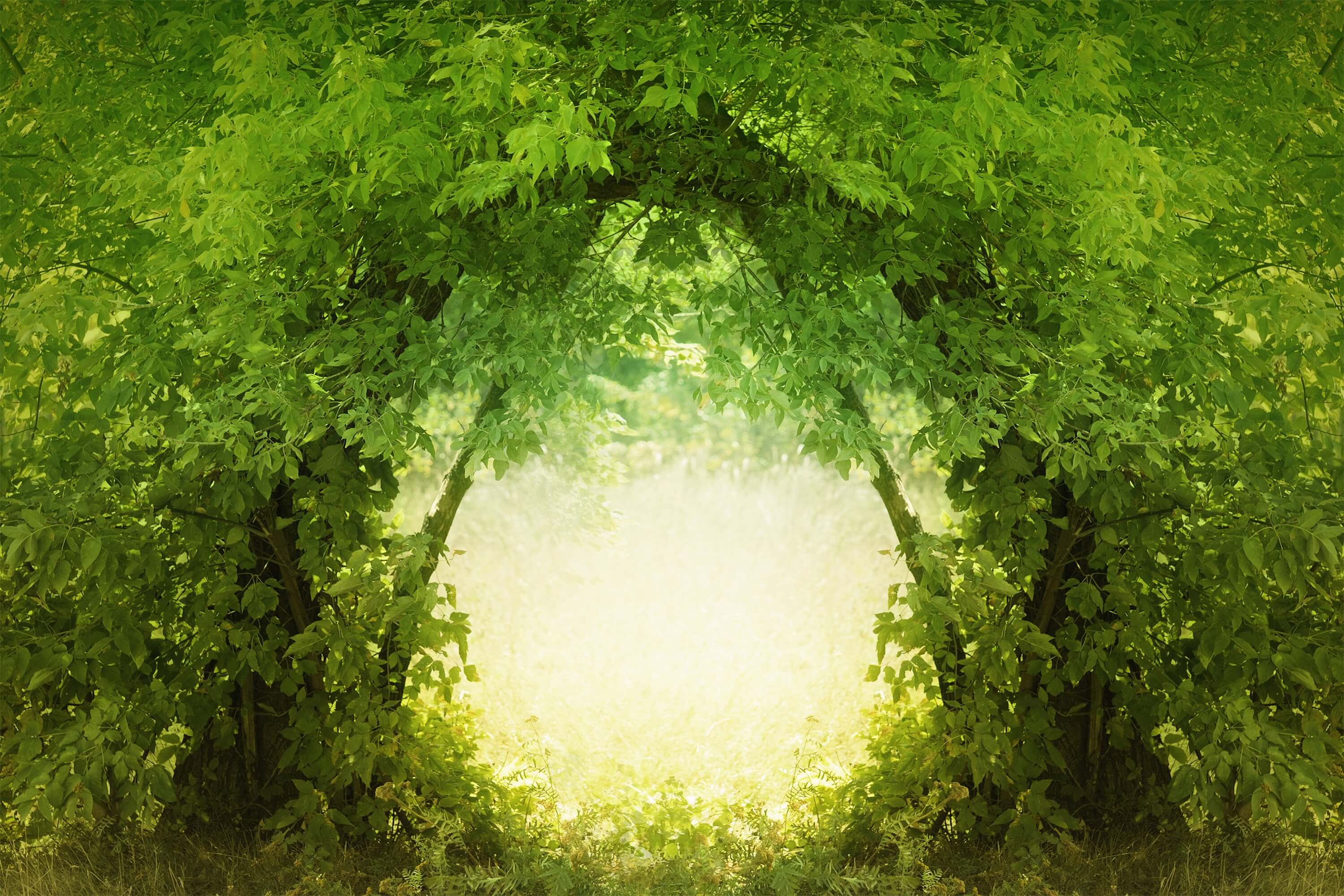 All Backdrops – Dbackdrop