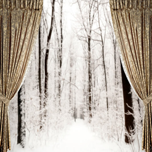 Winter Snow Window View Curtain Backdrop M10-03