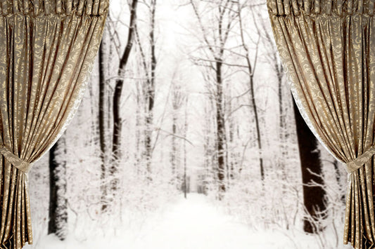 Winter Snow Window View Curtain Backdrop 
