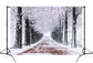 Winter Snowy Trees Walking Path Backdrop M10-08
