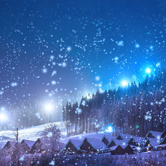 Winter Snow Village Forest Night View Backdrop M10-14