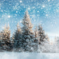 Winter Snowy Pine Forest Photography Backdrop M10-16