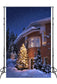 Christmas Evening Winter Snowy House Backdrop M10-18