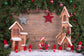 Christmas Decorations Snow Pine Tree Backdrop