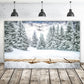 Winter Mountain Forest Snow Scene Backdrop M10-44