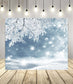 Frozen Winter Snowflake Landscape Backdrop M10-49