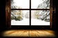 Winter Snowy Forest Window View Backdrop