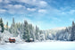 Snowy Winter Forest Village Scenery Backdrop