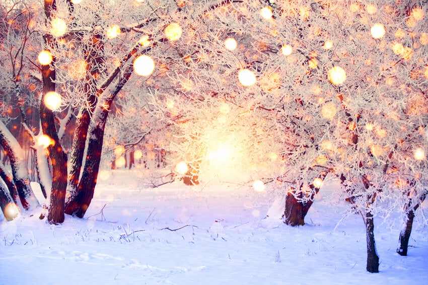 Winter Snow Glitter Lights Photography Backdrop