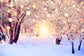 Winter Snow Glitter Lights Photography Backdrop