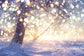 Winter Snowy Tree Glitter Snowflake Backdrop