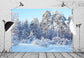 Winter Pine Forest Snow Wonderland Backdrop M10-73