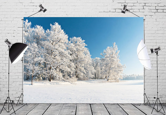 Snow Covered Winter Forest Photography Backdrop M10-74