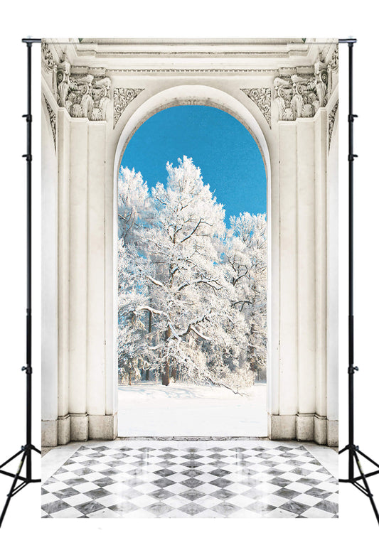 Winter Pine Trees Palace Door View Backdrop M10-78