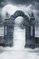Snowy Gothic Cemetery Gate Winter Backdrop 
