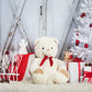 Christmas Tree Toy Bear Barn Door Backdrop M11-07