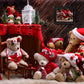 Christmas Teddy Bears Backdrop for Photography M11-08