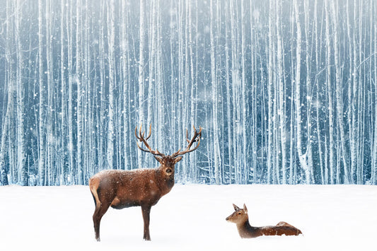 Snowy Winter Forest Deer Photography Backdrop