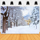 Winter Snowy Trees Road Castle Backdrop M11-12
