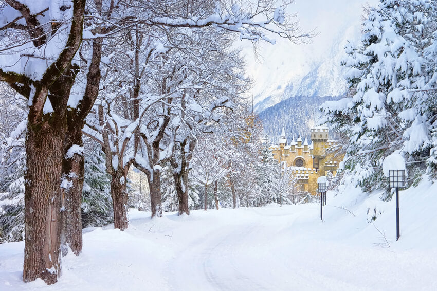 Winter Snowy Trees Road Castle Backdrop