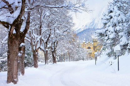 Winter Snowy Trees Road Castle Backdrop
