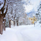 Winter Snowy Trees Road Castle Backdrop M11-12