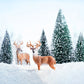 Winter Snow Forest Elk Landscape Backdrop M11-13