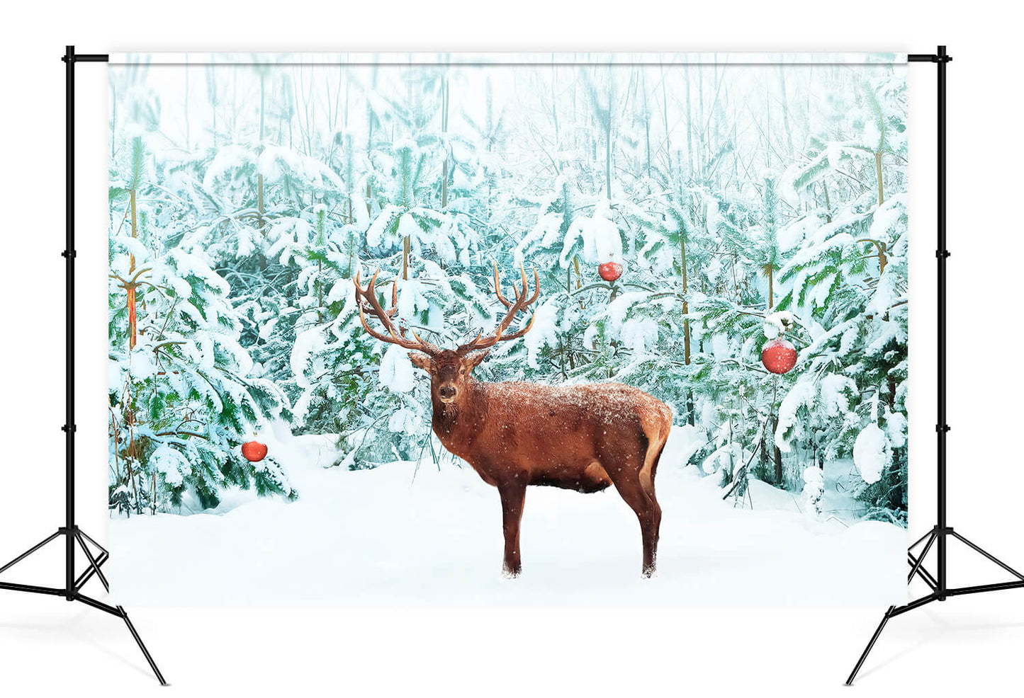 Noble Red Deer Winter Snow Forest Backdrop M11-14
