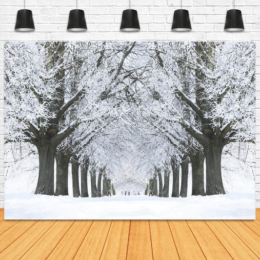 Winter Snowy Road Frozen Trees Backdrop M11-17
