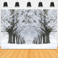 Winter Snowy Road Frozen Trees Backdrop M11-17