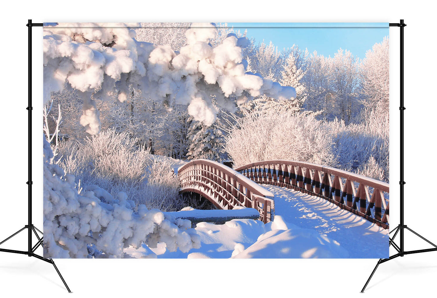 Winter Snow Pine Forest Bridge Backdrop M11-18