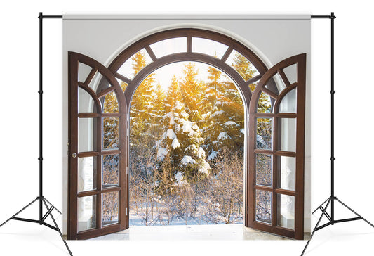 Winter Window Snowy Tree Sunlight Backdrop M11-26