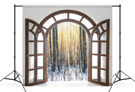 Outside Winter Window Forest Scenery Backdrop M11-27