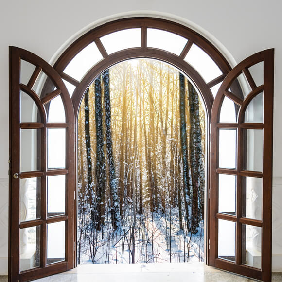 Outside Winter Window Forest Scenery Backdrop