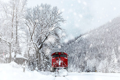 Winter Snow Covered Forest Train Backdrop