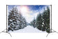 Winter Forest Snowfall Sunlight Landscape Backdrop M11-45