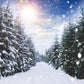 Winter Forest Snowfall Sunlight Landscape Backdrop M11-45