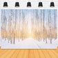 Winter Snowy Forest Park Sunshine Backdrop M11-47