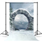 Winter Snow Mountain Lake Stone Arch Backdrop M11-49