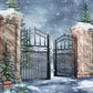 Fantasy Winter Snow Gate Forest Backdrop M11-52