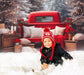 Vintage Christmas Red Car Snowy Forest Backdrop M11-57