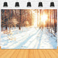 Winter Forest Path Sunlight Snow Backdrop M11-64