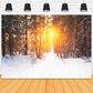 Winter Forest Sunrise Glow Landscape Backdrop M11-65