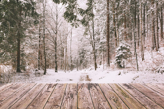 Winter Snow Forest Landscape Wood Backdrop