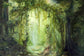 Art Painting Jungle Photo Booth Backdrop