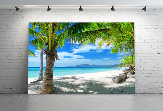 Summer Seaside Palm Trees Blue Sky Backdrop M5-116