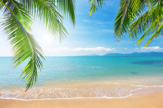 Palm Tree Tropical Beach Photography Backdrop 