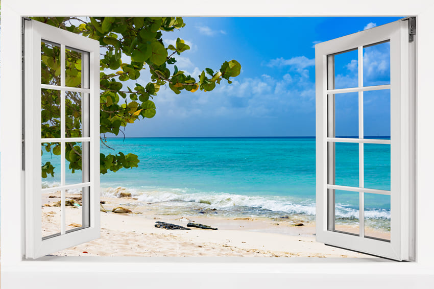 Blue Ocean Palm Tree Window View Backdrop M5-118 – Dbackdrop